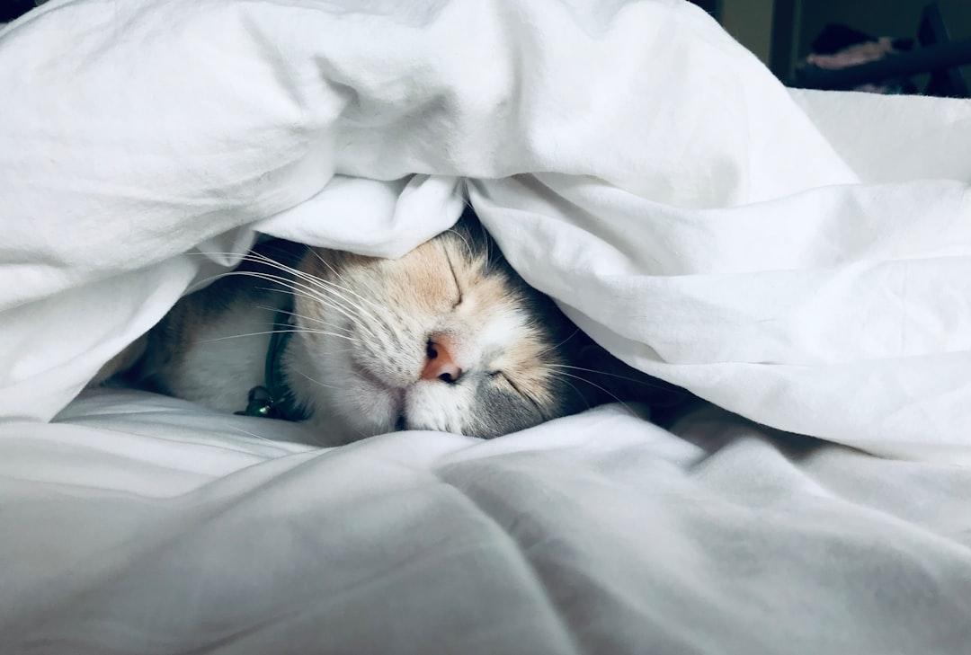 découvrez l'importance du sommeil pour votre santé et votre bien-être. apprenez des astuces pour améliorer la qualité de votre sommeil et favoriser des nuits réparatrices.