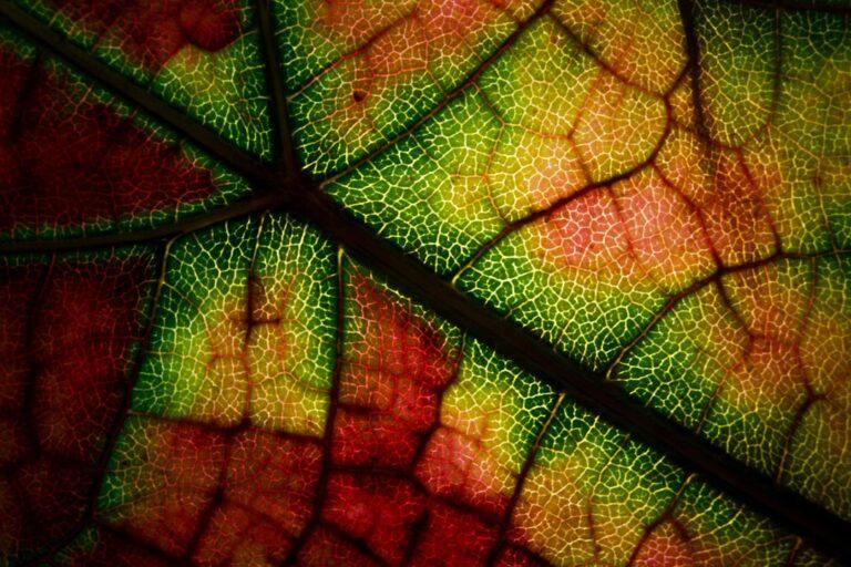 découvrez les symptômes courants de diverses maladies et affections. informez-vous sur les signes avant-coureurs à surveiller pour une meilleure santé et un diagnostic précoce.