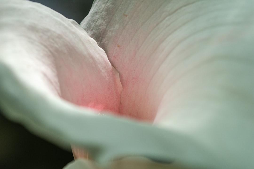 découvrez tout ce qu'il faut savoir sur l'accouchement par voie vaginale : ses avantages, le déroulement du processus et les conseils pour mieux le vivre. préparez-vous sereinement à accueillir votre bébé grâce à des informations fiables et pratiques.