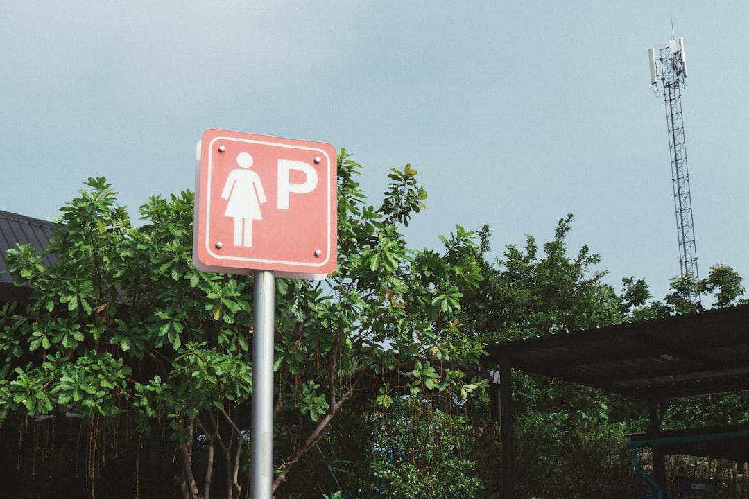 découvrez les différentes méthodes et outils de prédiction du genre, des méthodes traditionnelles aux solutions technologiques modernes. comprenez comment fonctionne la prédiction du sexe et ses applications.