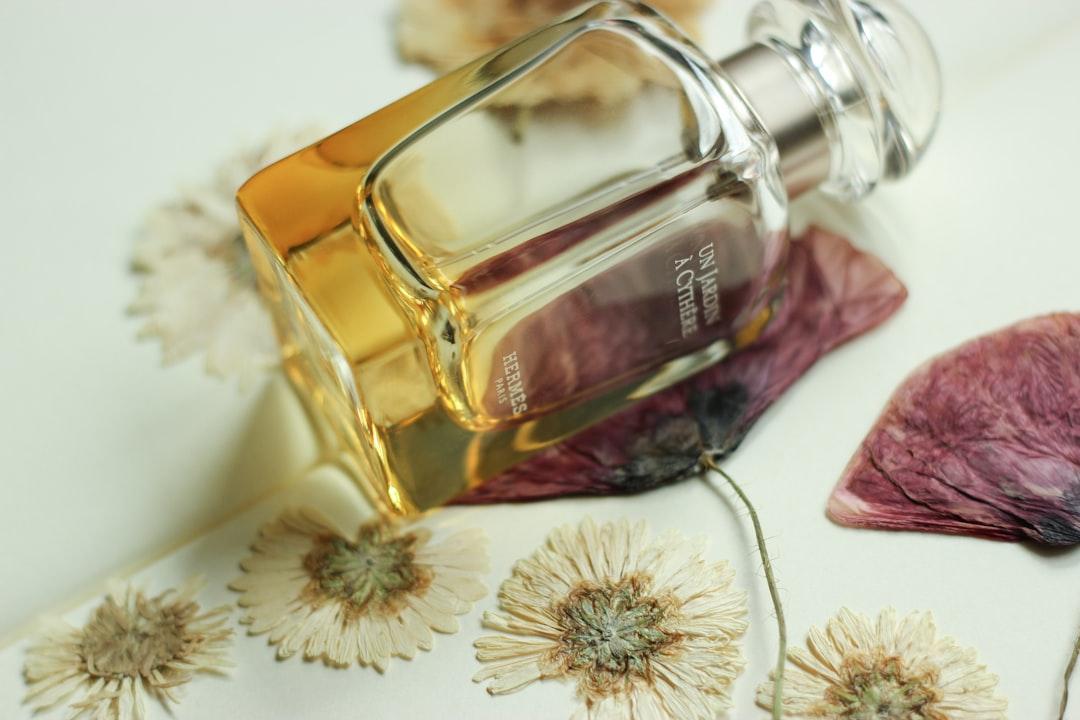 découvrez l'herbarium : une collection fascinante de plantes séchées, idéale pour étudier, préserver et admirer la diversité botanique. parfait pour les passionnés de nature et de sciences.