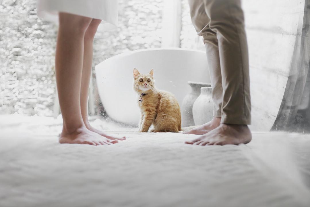 découvrez des conseils pratiques et des astuces efficaces pour réussir l'apprentissage de la propreté chez votre enfant. guide complet sur le potty training.