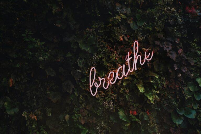 découvrez des techniques efficaces et naturelles pour soulager le stress au quotidien, retrouver votre calme intérieur et améliorer votre bien-être mental.