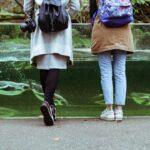 découvrez les meilleures destinations de vacances en famille pour vivre des moments inoubliables avec vos proches. conseils, activités et lieux adaptés à tous les âges pour un voyage réussi !