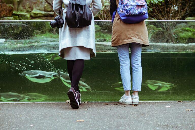 découvrez les meilleures destinations de vacances en famille pour vivre des moments inoubliables avec vos proches. conseils, activités et lieux adaptés à tous les âges pour un voyage réussi !