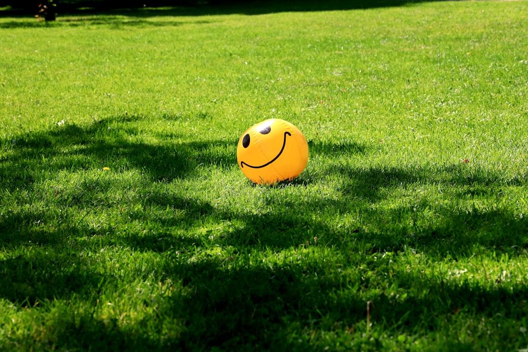 découvrez tout sur les sautes d’humeur : causes, symptômes, astuces pour les gérer au quotidien et conseils pour stabiliser votre bien-être émotionnel.